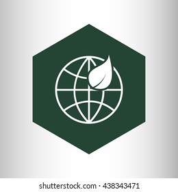 earth globe and leaf icon