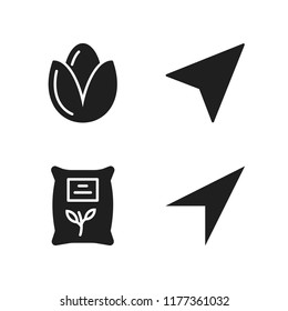 earth icon. 4 earth vector icons set. compass, seed and navigation icons for web and design about earth theme