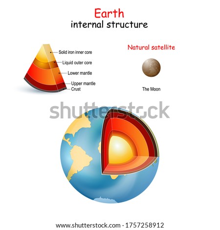 Earth internal structure. cross section of planets from core to mantle and crust. The Moon is only natural satellite. Solar system.  Interior of Terrestrial. vector. Easy to edit