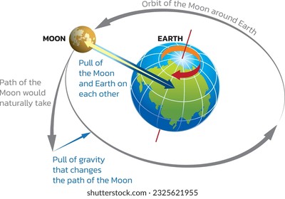 La gravedad de la Tierra y la Luna. Efectos de la gravedad en la Luna y la Tierra, ilustración vectorial