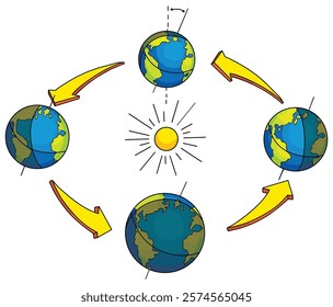 The earth revolves around the sun