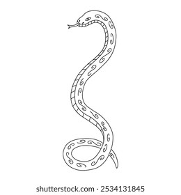 Cobra-serpente terrestre sobre fundo branco. Preto e branco estilizado vetor isolado ilustração mão desenhado rabiscar. Cartaz esotérico abstrato. Símbolo do novo ano de 2025. Textura de madeira