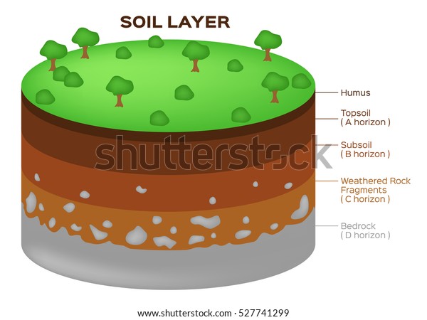 Earth Structure Soil Layers Aquifer Vector Stock Vector (Royalty Free ...