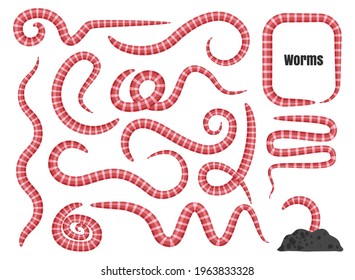 Earth worm set. Earthworms vector illustration, pink segmented soil worms, annelida, cartoon lumbricus collection isolated on white background