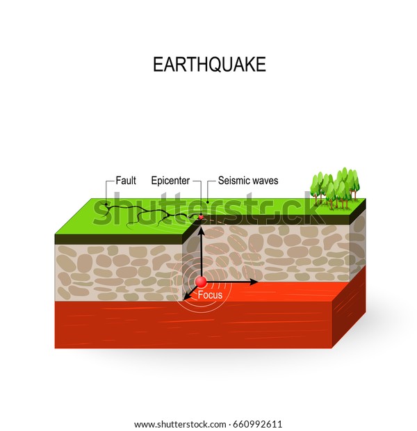 Seismic Waves Activity Sheet