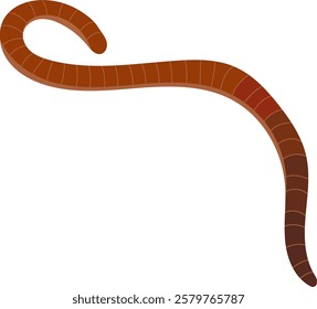 Earthworm Animal Illustration Isolated on White Background