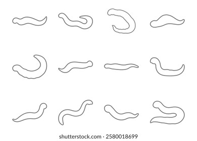 Earthworm Animal Outline Icon Set