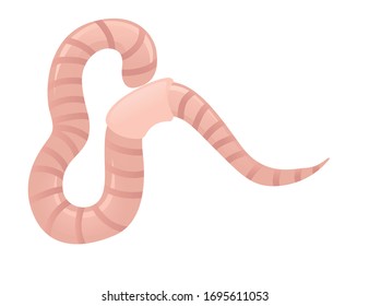 Cute Cartoon Worm Isolated On White Stock Vector (Royalty Free) 140779591