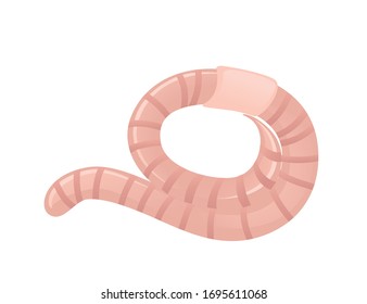 Earthworm crawling cartoon worm design flat vector illustration isolated on white background