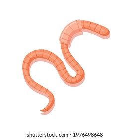 earthworm icon isolated on white background vector illustration.
