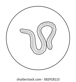 Earthworm icon in outline style isolated on white background. Insects symbol stock vector illustration.