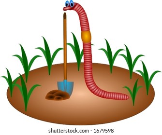 Earthworm illustration