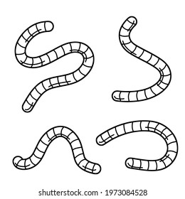 Earthworm. Insect worm set. Bait for fishing. Black and white cartoon illustration