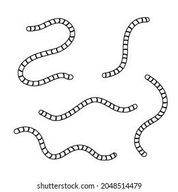 Earthworm. Insect worm set. Black and white cartoon illustration. Bait for fishing