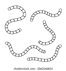 Earthworm. Insect worm set. Black and white cartoon illustration. Bait for fishing