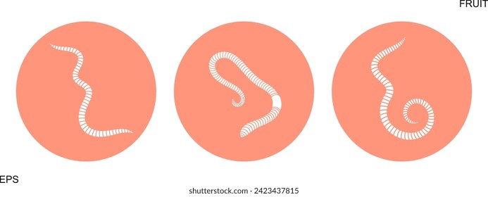 Earthworm logo. Isolated earthworm on white background