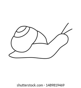 Earthworm minimal line icon vector