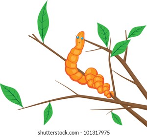 Earthworm on a branch