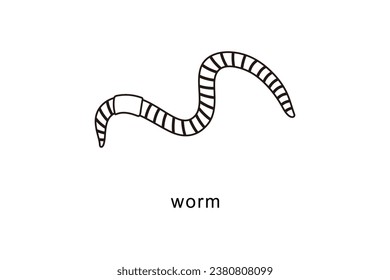 Earthworm outline icon isolated on white background.
line style earthworm vector