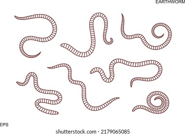 Earthworm outline. Isolated earthworm on white background