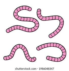 Earthworm. Pink Insect worm set.