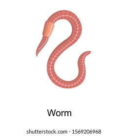 Earthworm vector icon.Cartoon vector icon isolated on white background earthworm.