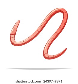 Earthworm vector isolated illustration design