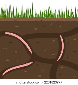 Earthworms in garden soil. Air and water passage in the soil created by earthworms. Worms in ground. Sliced view for a ground with creeping worm in action poses exact vector cartoon background.