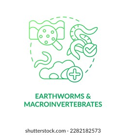 Earthworms and macroinvertebrates green gradient concept icon. Regenerative agriculture. Soil health indicator abstract idea thin line illustration. Isolated outline drawing. Myriad Pro-Bold font used