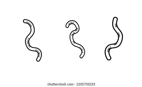 earthworms vector sign, outline, hand drawing. EPS 10.