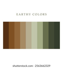 earthy color palette vector illustration