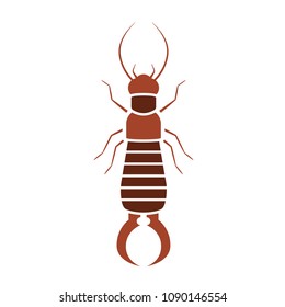 Earwig bug icon. Pest control clipart isolated on white background