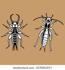 Earwig bundle design art and illustrator eps