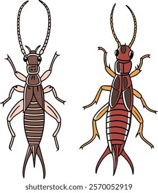 Earwig bundle design art and illustrator eps