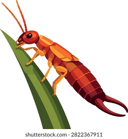 Earwig clinging to blade, side profile facing left, full body, insect decorative vector illustration