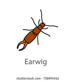 Earwig color icon. Insect. Isolated vector illustration