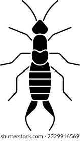 earwig dermaptera bug firebrat insect Glyph