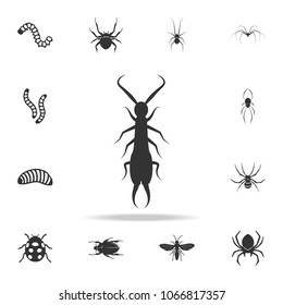 earwig. Detailed set of insects items icons. Premium quality graphic design. One of the collection icons for websites, web design, mobile app on white background