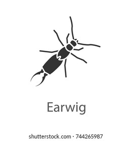 Earwig glyph icon. Silhouette symbol. Insect. Negative space. Vector isolated illustration