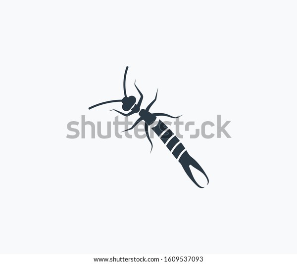 Earwig icon isolated on clean background.\
Earwig icon concept drawing icon in modern style. Vector\
illustration for your web mobile logo app UI\
design.