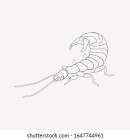Earwig icon line element. Vector illustration of earwig icon line isolated on clean background for your web mobile app logo design.