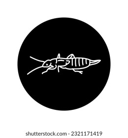 Earwig insect black line icon. Pictogram for web page, mobile app, promo.