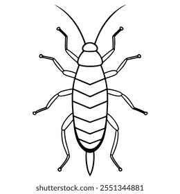 Ilustración vectorial plana del insecto de Earwig en un fondo blanco