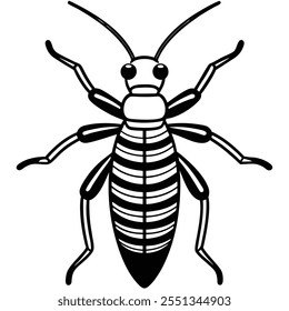 Earwig insect flat vector illustration on a white background