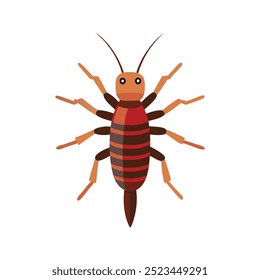 
Earwig insect isolated flat vector illustration white background.