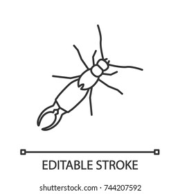 Earwig linear icon. Insect. Thin line illustration. Contour symbol. Vector isolated outline drawing. Editable stroke