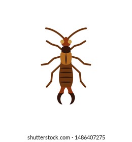 Earwig single flat icon. Insect simple sign in cartoon style. Dermaptera pictogram. Wildlife symbol. Entomology closeup vector illustration isolated on white. Graphic design element for card, logo