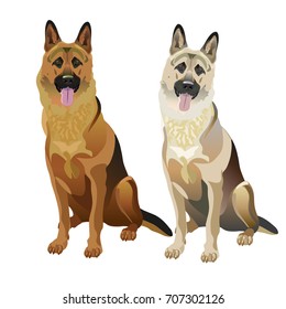 East european and german shepherd dogs. Vector illustration