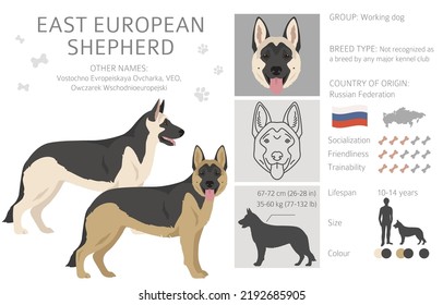 East european shepherd clipart. Different coat colors set.  Vector illustration