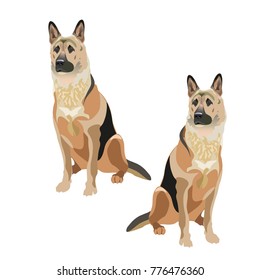 East european shepherd dogs. Vector illustration isolated on the white background